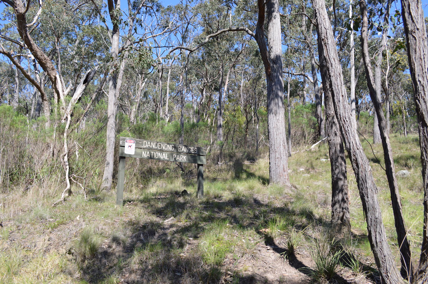 Dandenong Ranges Sign