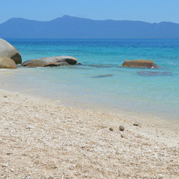 Preview image of Visit to the Great Barrier Reef
