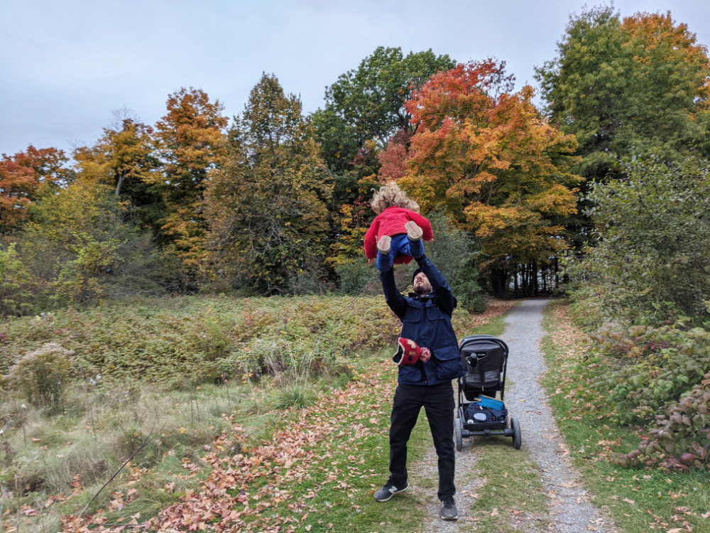 Dad throwing girl in the air
