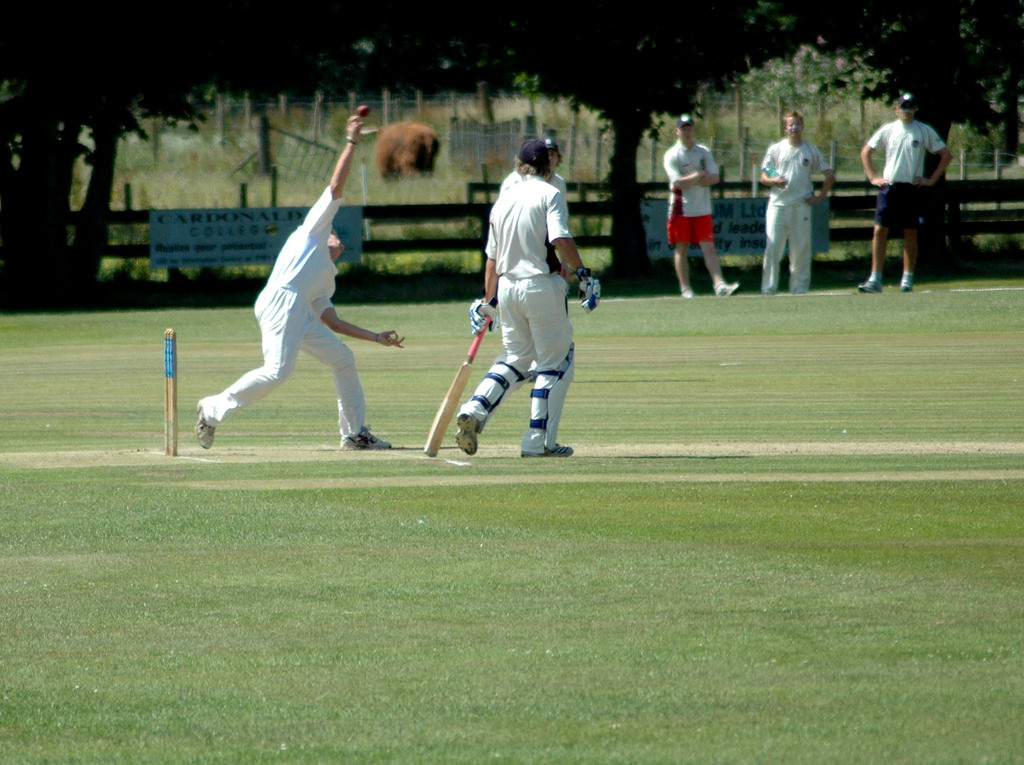 Men playing cricket
